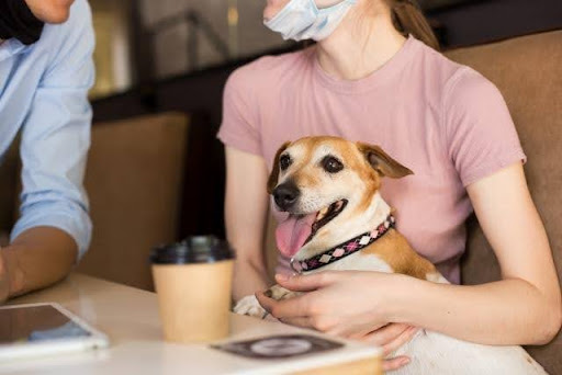 7 recommended dog cafes near Tokyo! Introducing manners and access methods